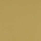 Alora Chartreuse by Clarke And Clarke Fabric CLARKE & CLARKE ALORA COTTON - 100% Spain HEAVY Horizontal: 0 and Vertical: 0 54 - Fabric Carolina -