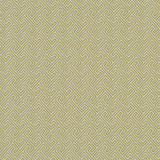 Mercury Citron by Clarke And Clarke Fabric CLARKE & CLARKE EQUINOX COTTON - 61%;POLYESTER - 39% Turkey HEAVY Horizontal: 1.2 and Vertical: 1.2 54 - Fabric Carolina -