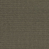 Kauai Charcoal by Clarke And Clarke Fabric CLARKE & CLARKE EXOTICA COTTON - 46%;POLYESTER - 42%;VISCOSE - 12% India HEAVY Horizontal: 0 and Vertical: 0 54 - Fabric Carolina -