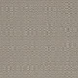 Kauai Mocha by Clarke And Clarke Fabric CLARKE & CLARKE EXOTICA COTTON - 46%;POLYESTER - 42%;VISCOSE - 12% India HEAVY Horizontal: 0 and Vertical: 0 54 - Fabric Carolina -