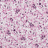 Lugar Magenta by Clarke And Clarke Fabric CLARKE & CLARKE PALMERO COTTON - 100% Spain MEDIUM Horizontal: 13.625 and Vertical: 27.625 54 - Fabric Carolina -