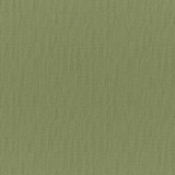 Chico # 831 Aloe by Maxwell Fabric COLORGUARD-AMAZONIA 64% POLYESTER/32% VISCOSE
4% COTTON INDIA See sample </p><p>Repeat: Horizontal: and Vertical: 55" - Fabric Carolina -