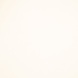 Fortitude Performance Vinyl Flaked Coconut by RM CoCo Fabric