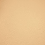 Fortitude Performance Vinyl Alabaster by RM CoCo Fabric