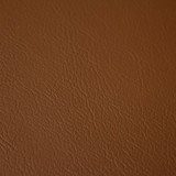 Fortitude Performance Vinyl Oak by RM CoCo Fabric