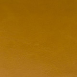 Derma Mustard by Europatex Fabric Derma Surface: 100% PVC (Phthalate Free) Backing: 100% Polyester 0.00" 54.00 inches - Fabric Carolina -