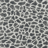 Makena Grey T10222 by Thibaut Wallpaper Thibaut Wallpaper Makena Grey T10222Wallpaper Colony Wallpaper UNITED STATES </p><p>Repeat: V: 25.25 27 - Fabric Carolina - Makena Grey T10222 by Thibaut Wallpaper Thibaut Wallpaper Makena Grey T10222Wallpaper Colony Wallpaper UNITED STATES </p><p>Repeat: V: 25.25 27 - Fabric Carolina -