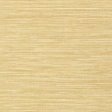 Jindo Grass Camel T75115 by Thibaut Wallpaper Thibaut Wallpaper Jindo Grass Camel T75115Wallpaper Faux Resource Vinyl Face Wallpaper UNITED KINGDOM </p><p>Repeat: V: 27 27 - Fabric Carolina -