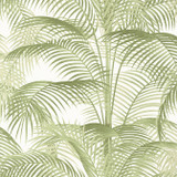 Delray Sage T13939 by Thibaut Wallpaper Thibaut Wallpaper Delray Sage T13939Wallpaper Palm Grove Non Woven Wallpaper UNITED KINGDOM </p><p>Repeat: V: 27.5 27 - Fabric Carolina - Delray Sage T13939 by Thibaut Wallpaper Thibaut Wallpaper Delray Sage T13939Wallpaper Palm Grove Non Woven Wallpaper UNITED KINGDOM </p><p>Repeat: V: 27.5 27 - Fabric Carolina -
