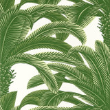 Queen Palm Green T13907 by Thibaut Wallpaper Thibaut Wallpaper Queen Palm Green T13907Wallpaper Palm Grove Non-Woven Vinyl Wallpaper U.S.A. </p><p>Repeat: V: 25 27 - Fabric Carolina - Queen Palm Green T13907 by Thibaut Wallpaper Thibaut Wallpaper Queen Palm Green T13907Wallpaper Palm Grove Non-Woven Vinyl Wallpaper U.S.A. </p><p>Repeat: V: 25 27 - Fabric Carolina -