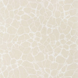 Amato Beige T4014 by Thibaut Wallpaper Thibaut Wallpaper Amato Beige T4014Wallpaper Surface Resource Non Woven Wallpaper U.S.A. </p><p>Repeat: V: 25.25 27 - Fabric Carolina -