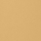 Bilzen Linen Camel T14124 by Thibaut Wallpaper Thibaut Wallpaper Bilzen Linen Camel T14124Wallpaper Texture Resource 4 Embossed Vinyl Woven Wallpaper U.S.A. </p><p>Repeat: V: - 26 - Fabric Carolina - Bilzen Linen Camel T14124 by Thibaut Wallpaper Thibaut Wallpaper Bilzen Linen Camel T14124Wallpaper Texture Resource 4 Embossed Vinyl Woven Wallpaper U.S.A. </p><p>Repeat: V: - 26 - Fabric Carolina -