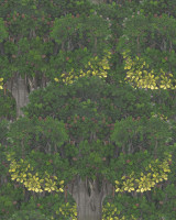 SAVAGE LEAVES Wallpaper (WP20466) by Mind The Gap | WP20466 | THE WALLPAPER COMPENDIUM 1 | 3 rolls x 20.5 x 118.1 in | 0.52m / 20.5in | 3m / 118in | 4.65mp | 70cm / 27.6in | Green, Grey, Yellow | Textured Matte | Paste the wall | 3-rolls in a box | Fabric Carolina | https://www.fabriccarolina.com/