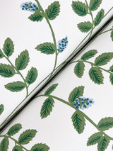 W4290 by Kravet Design Wallcovering