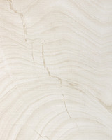 W4319-16 by Kravet Design Wallcovering