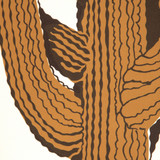 Saffron by Kravet Couture Wallcovering