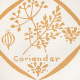 Saffron by Kravet Couture Wallcovering