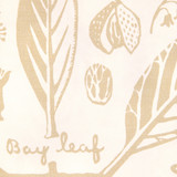 Sand by Kravet Couture Wallcovering