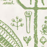 Cactus by Kravet Couture Wallcovering