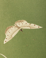 Sage by Lee Jofa Wallcovering