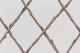 Brown by Lee Jofa Wallcovering