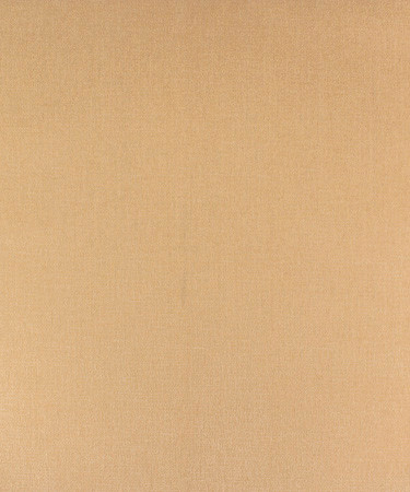 Netleaf Ivory M9590 by Barrow Industries Fabric 14C01 Casual Living Plus 100% POLYESTER China - H: N/A V: N/A 4833 inches minimum (See sample for specs) - Fabric Carolina - Barrow Industries