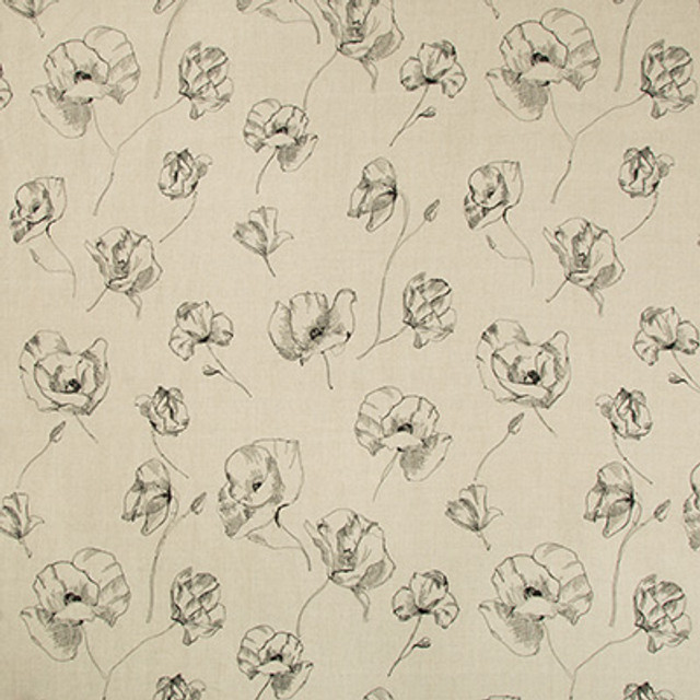 Field Notes Natural/Noir by Kravet Couture Fabric