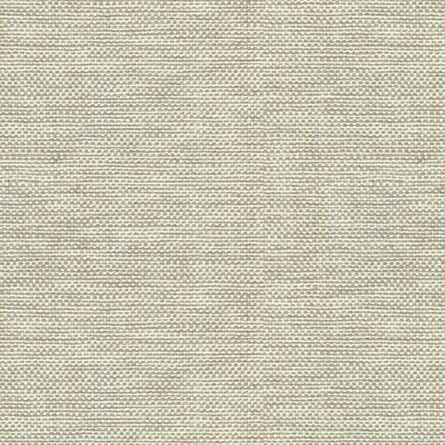 Kravet Basics 30299-106 by Kravet Basics Fabric