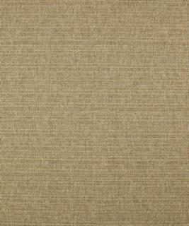Caspian 11111 M10256 by Barrow Industries Designer Fabric Casual Living/18C02 66% POLYESTER FILAMENT-TEXTURED
34% POLYESTER FILAMENT NON-TEXTURED Asia 36,000 DOUBLE RUBS Horizontal: - and Vertical: - 57" - Swanky Fabrics -