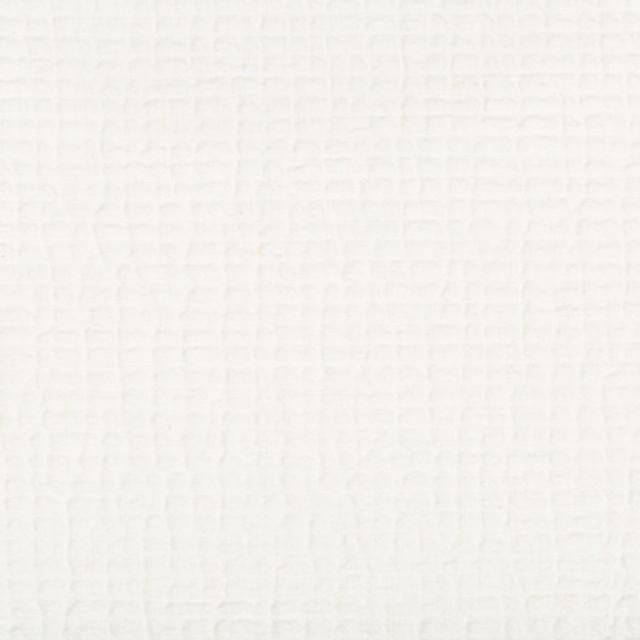 Cachuma Ivory by Kravet Couture Fabric