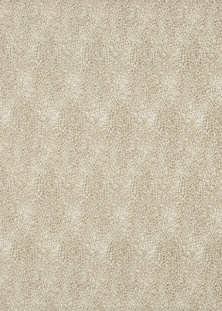 Gosford Oatmeal by G P & J Baker Fabric