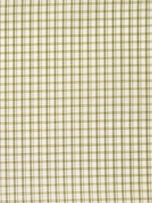 <p>Astor Check Leaf SC269830005 by Scalamandre Fabric</p><p><strong>Required Minimum Quantity Purchase: Fabrics by the yard 1 YARD MINIMUM </p><p>Book: BELLE JARDIN</p><p>Content: 50% SILK 50% COTTON</p><p>Origin: INDIA</p><p>Performance: LIGHT DUTY</p><p>Repeat: Horizontal: .125" and Vertical: .125"</p><p>Width: 55</p>