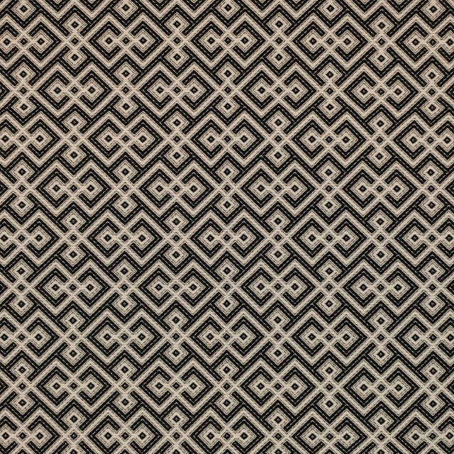 Tucumcari Onyx by RM CoCo Fabric