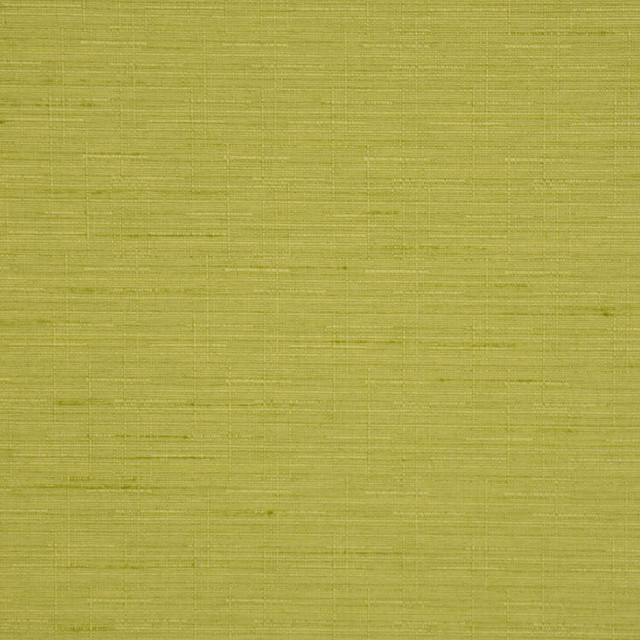 Hearsay Apple by RM CoCo Fabric Rumor Has It 100% Polyester - Machine washable Horizontal: 0 and Vertical: 0 54 - Fabric Carolina -