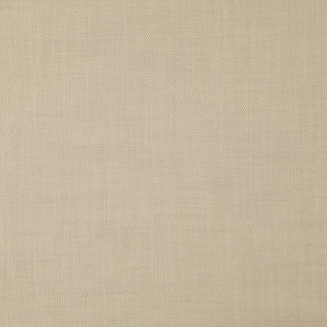 Strata Putty by RM CoCo Fabric