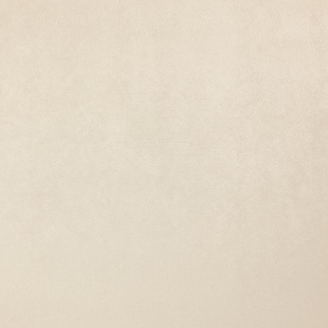 Soiree Ivory by RM CoCo Fabric