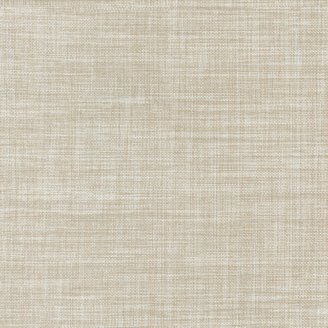 Flashback Corian 404501 by PKL Studio Fabric PKL STUDIO DEC'15 65% Polyester 35% Cotton INDIA Wyzenbeek 51,000 Horizontal: 0.00" and Vertical: 0.00" 54" - Fabric Carolina -
