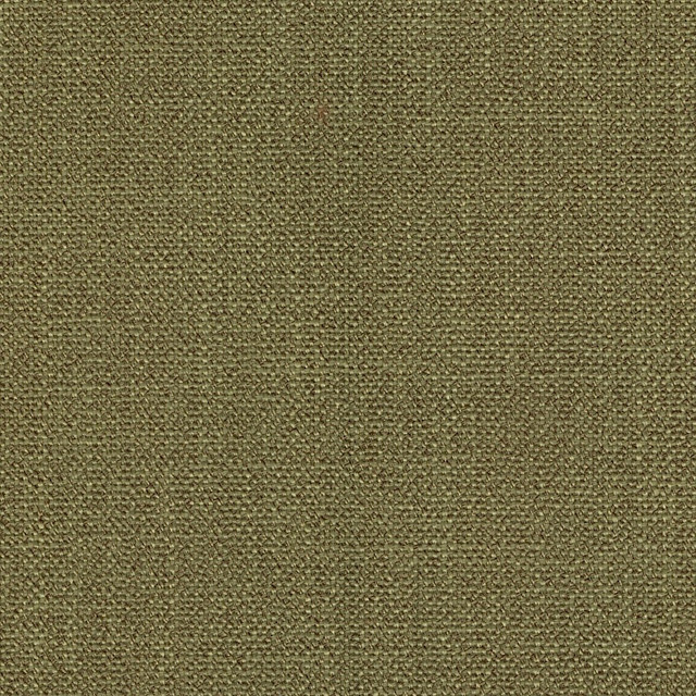Dupree Fern by Magnolia Fabric - 100% Poly China 60000 Horizontal: 0 and Vertical: 0 55" - Fabric Carolina -
