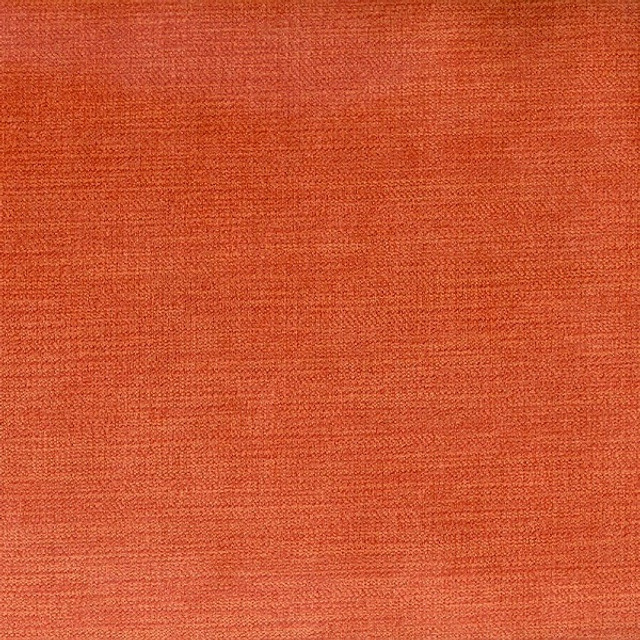 June Apricot by Magnolia Fabric - 90Poly/10Nyl China 100000 Horizontal: 0 and Vertical: 0 55" - Fabric Carolina -