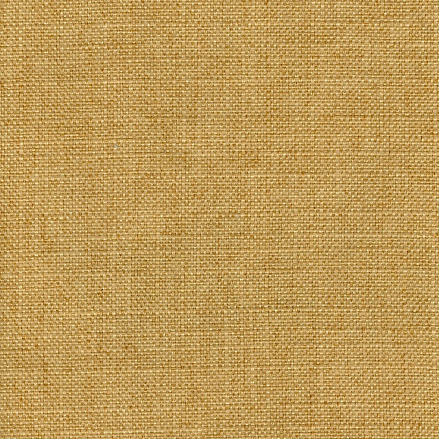 Ruzgar Gold by Magnolia Fabric - 100% Poly China 55000 Horizontal: 0 and Vertical: 0 56" - Fabric Carolina -