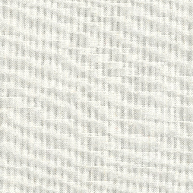 Tucker Snow by Magnolia Fabric - 36Poly/26Ctn/22Visc/16Lin China 30000 Horizontal: 0 and Vertical: 0 54" - Fabric Carolina -