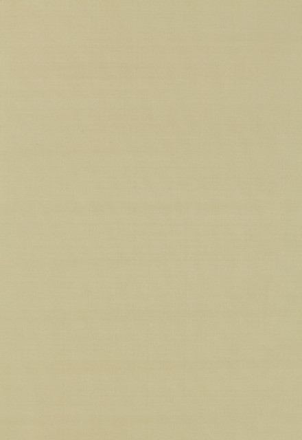 Giordano Taffeta Sesame 63951 by Schumacher Fabric Mirage 100% Polyester Wyzenbeek 30,000 Horizontal: - and Vertical: - 54 - Fabric Carolina -