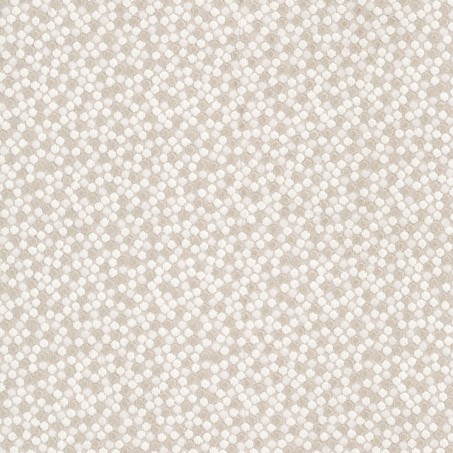 Sanantonio 1 Almond by Stout Fabric