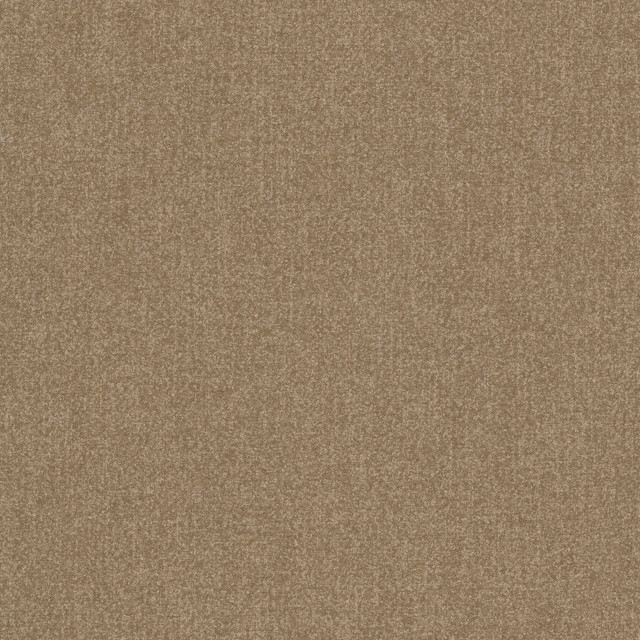 Brevity 2 Camel by Stout Fabric