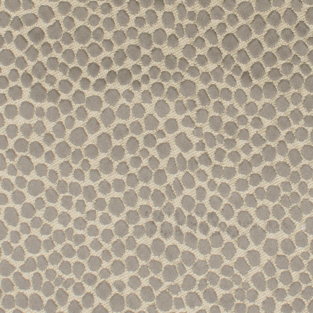 Adaria 1 Sandstone by Stout Fabric Rainbow Library Toast/Driftwood 100% Polyester INDIA Horizontal: 4.75 and Vertical: 2.5 54 in - Fabric Carolina -