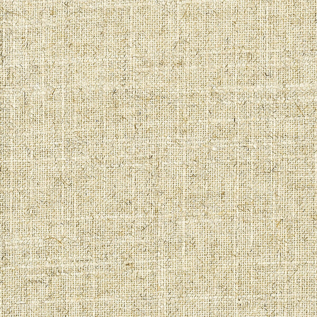 Racer 1 Linen by Stout Fabric The Naturals Ii 50% Polyester 50% Linen CHINA WYZENBEEK 3 000 DOUBLE RUB WEAR TEST (LIGHT DUTY) Horizontal: 0 and Vertical: 0 56 in - Fabric Carolina -