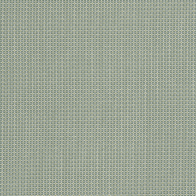 Howdy 3 Lime by Stout Fabric
