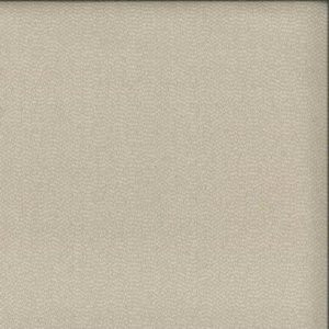 Ally Natural 05 by Norbar Fabric DELPHI 100% POLYESTER INDIA 54 - Fabric Carolina -