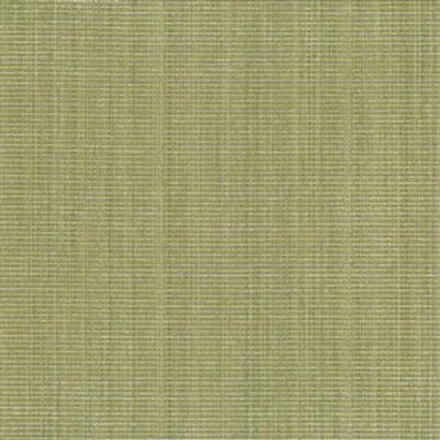 Anvil Lime by Norbar Fabric JAZZ 52% COTTON 31% POLYESTER CHINA 58 - Fabric Carolina -