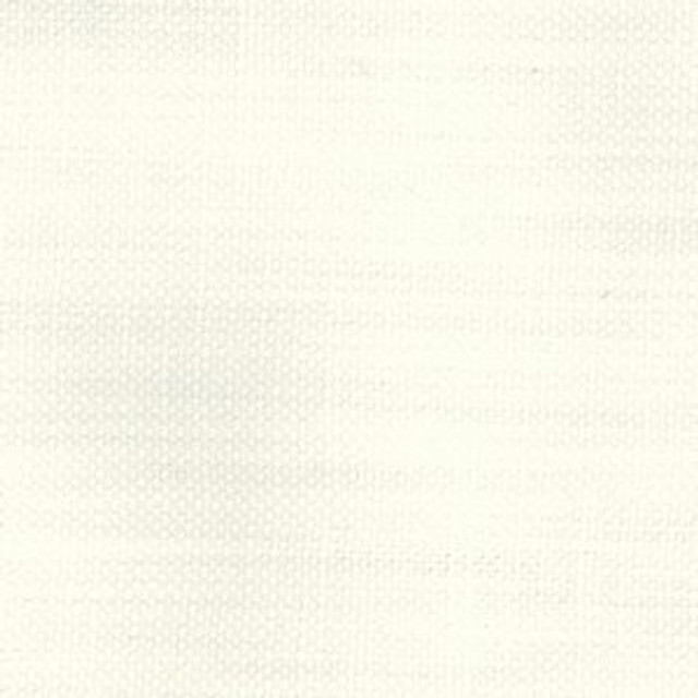 Borneo Ivory by Norbar Fabric 100% COTTON INDIA 54 - Fabric Carolina -